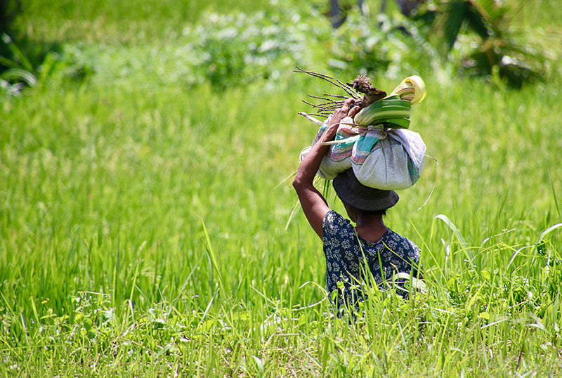 Fotografiereis Bali (Indonesië) en Singapore