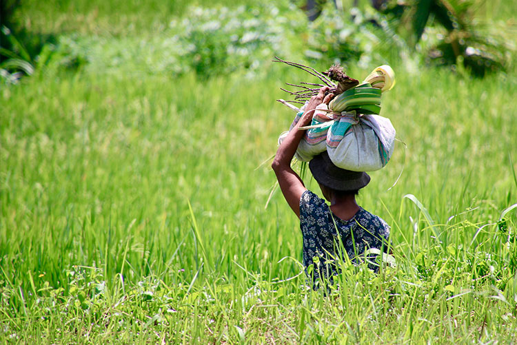 Fotografiereis naar Singapore en Bali Fotoreis Singapore en Bali