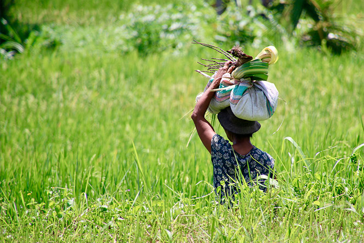 Fotoreis Singapore en Bali