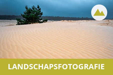 Workshop landschapsfotografie op de Veluwe