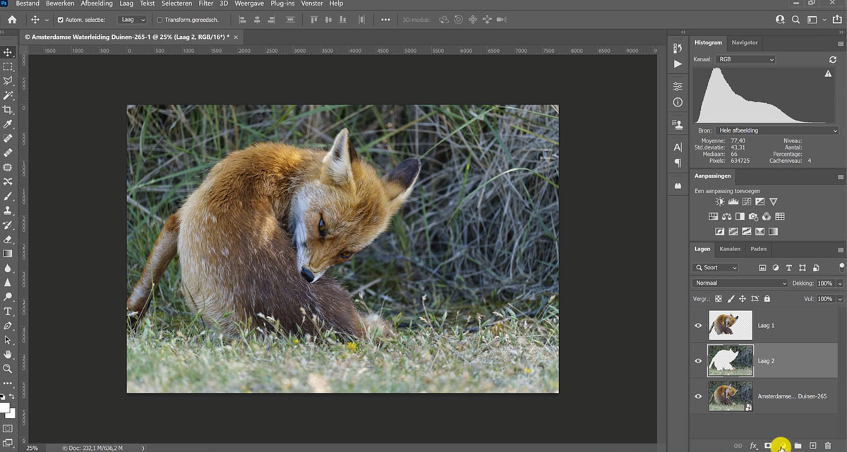 De achtergrond selecteren en bewerken met photoshop