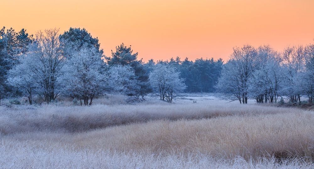 Winters gouden uurtje fotograferen met Dave Zuuring