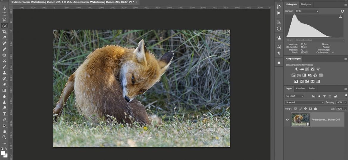 De achtergrond selecteren en bewerken met photoshop