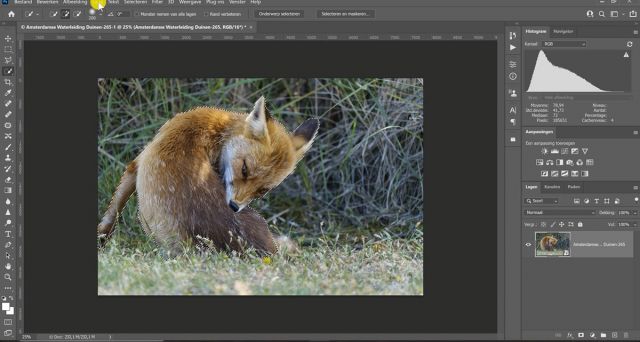 De achtergrond selecteren en bewerken met photoshop