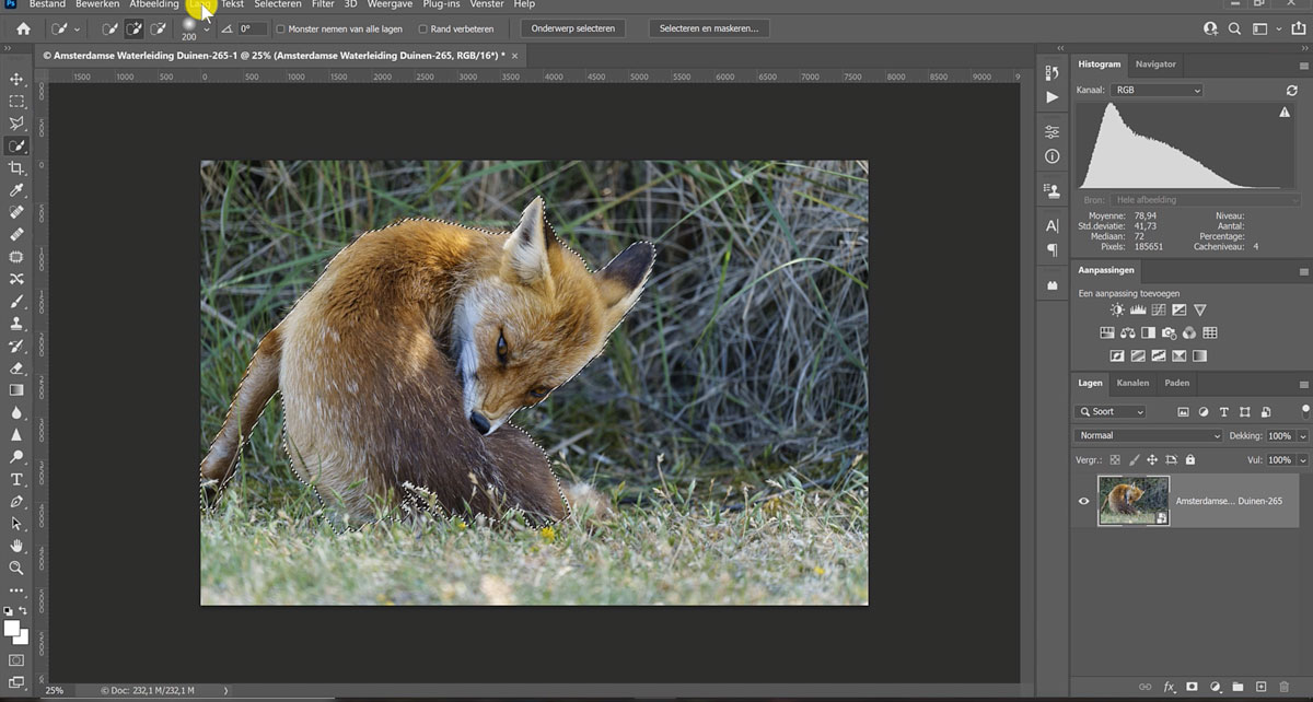 De achtergrond selecteren en bewerken met photoshop