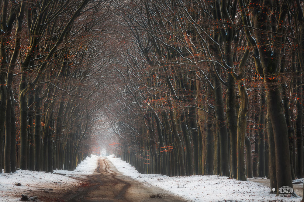 Winterse landschappen fotograferen Dave Zuuring