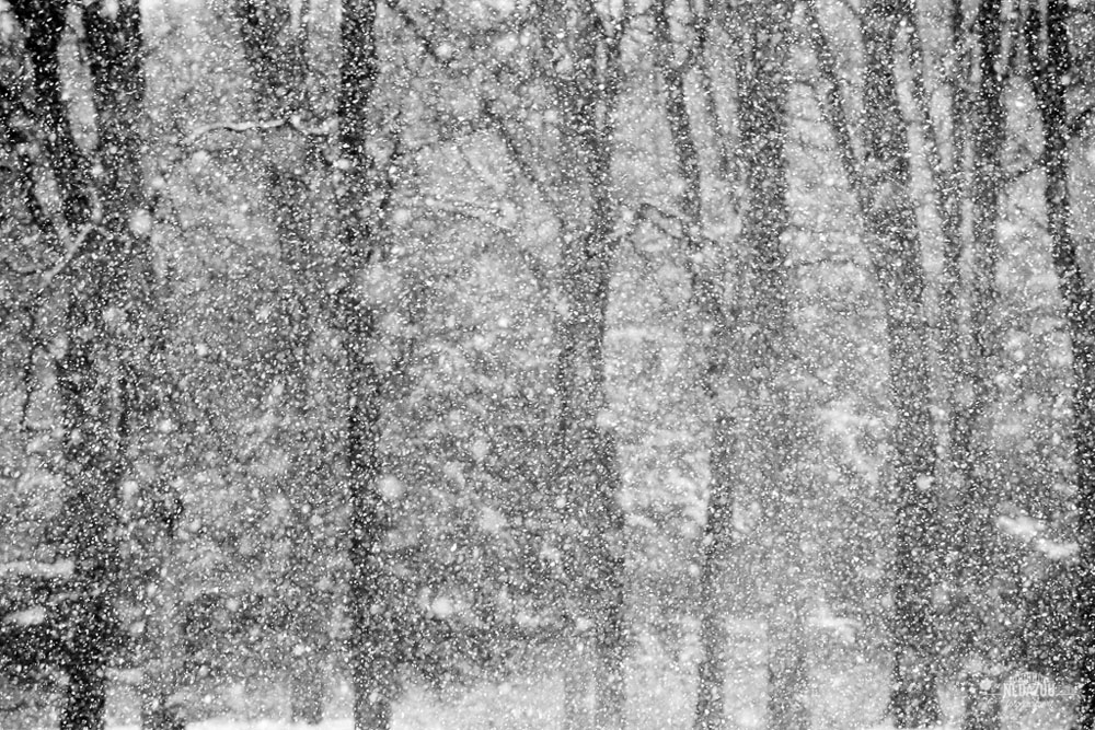 scherpe fotos maken in de sneeuw