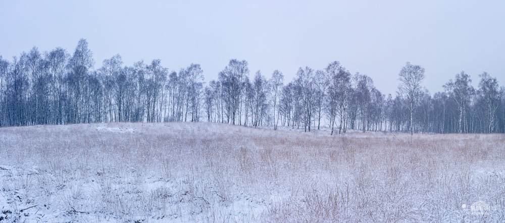 winterse landschapsfotos maken met Dave Zuuring