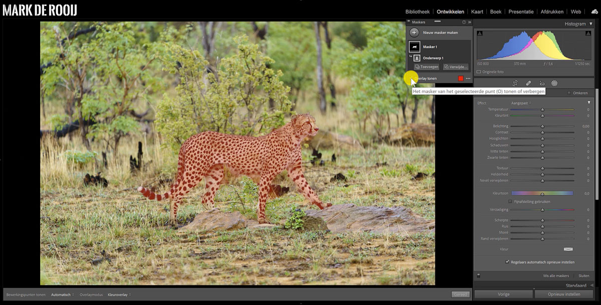 Onderwerpen selecteren en maskeren met Lightroom