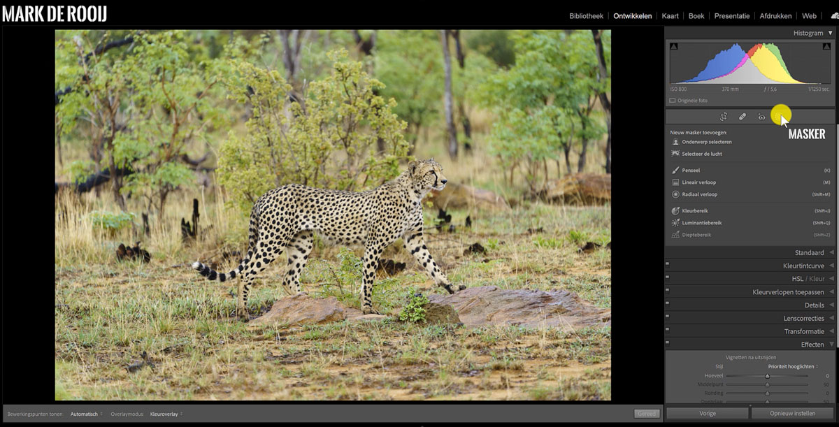 Onderwerp selecteren en maskeren lightroom