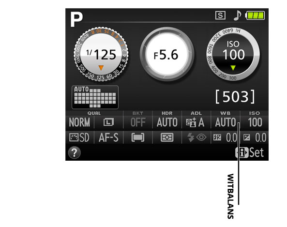 witbalans instellen met Nikon camera