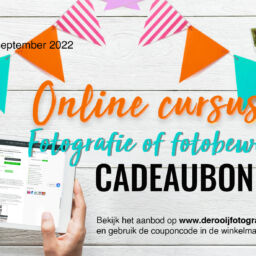 Cadeaubon online cursus - Actie €20