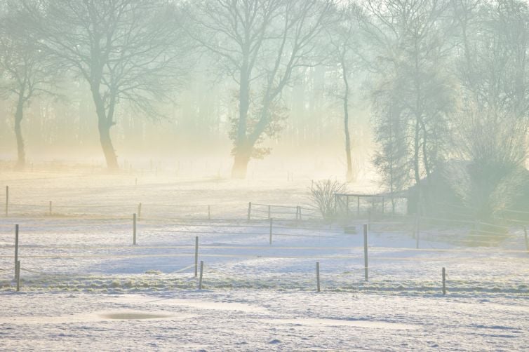 winters-landschap-zonsopkomst-mistig