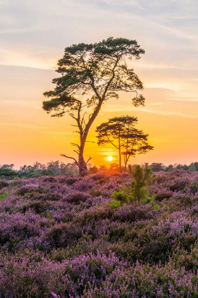 Landschapsfotografie