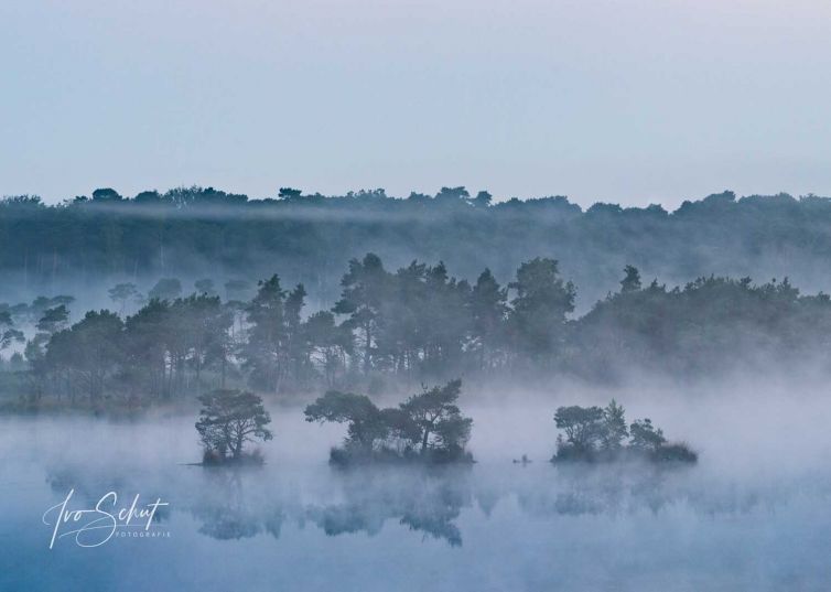 Landschapsfoto met mist