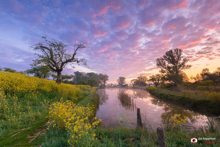 Workshop Landschapsfotografie volgen