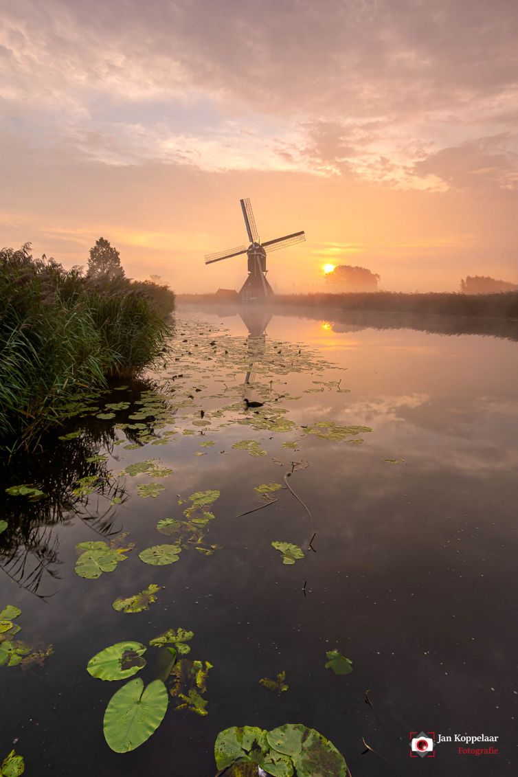 Workshop Landschapsfotografie in Kinderdijk