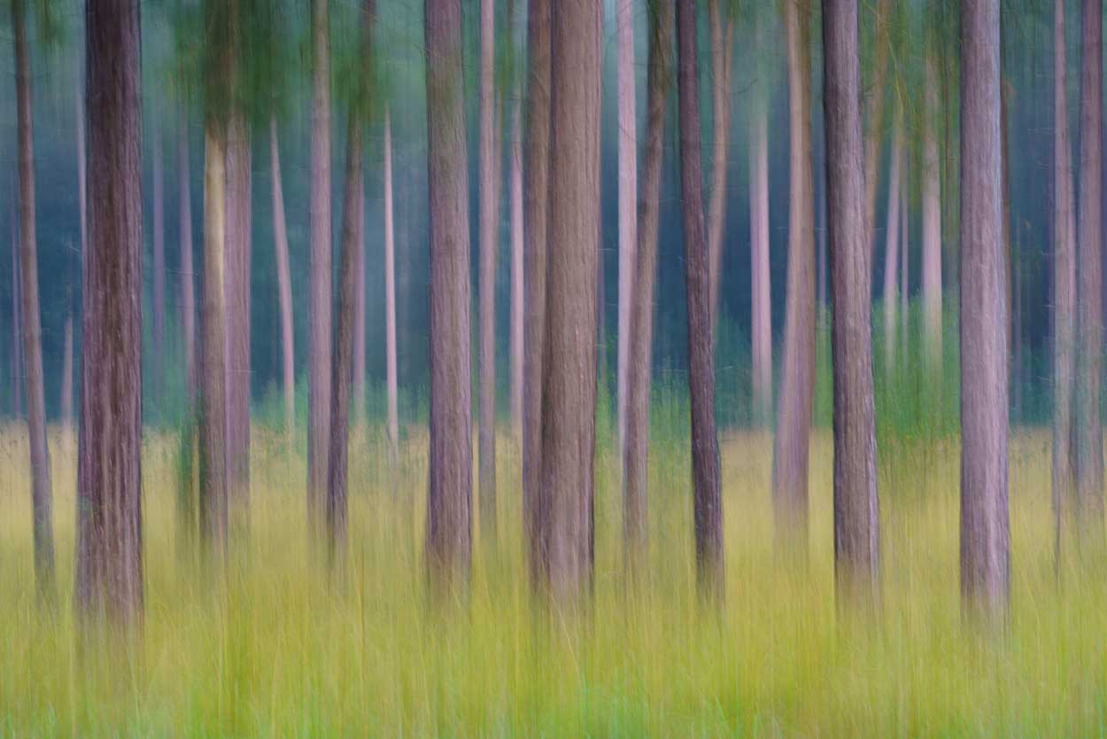 intentional camera movement voorbeeld