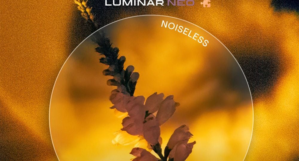 Luminar Neo Noiseless AI extensie