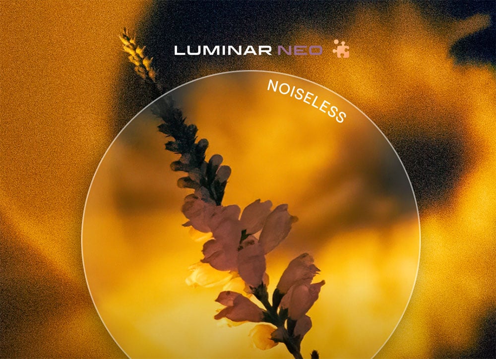 Luminar Neo Noiseless AI extensie