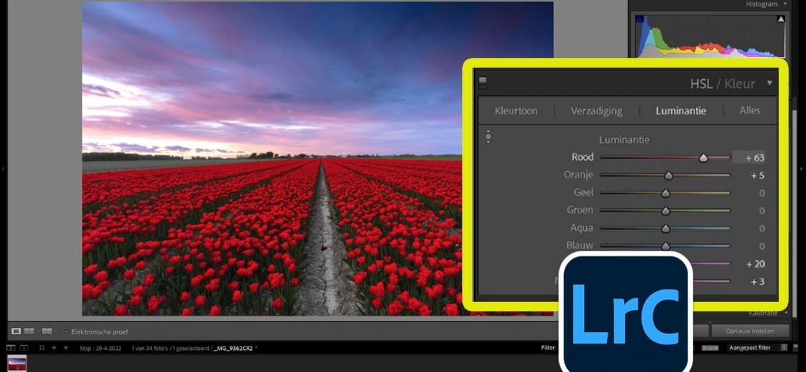 Adobe Lightroom Classic - HSL - Kleurtoon, verzadiging en luminantie
