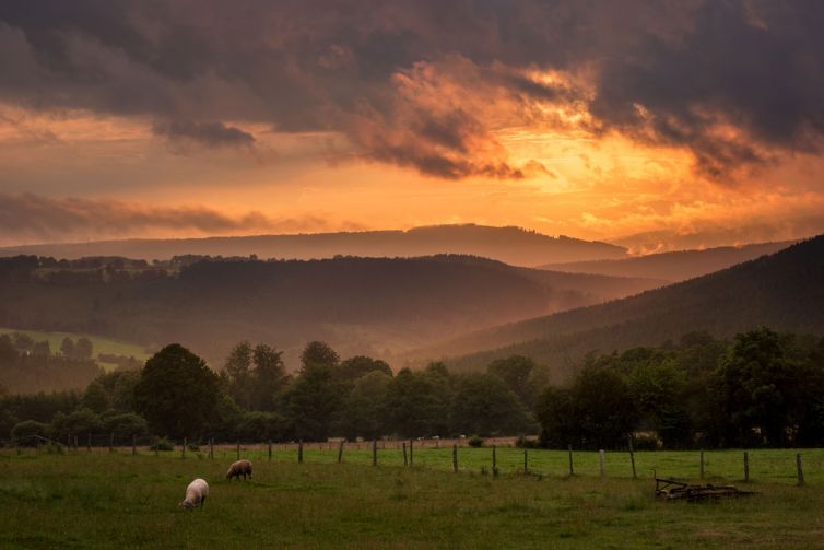 Erik Brons fotografie