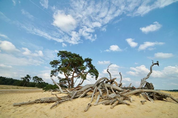 Landschapsfotografie door Co Bliekendaal