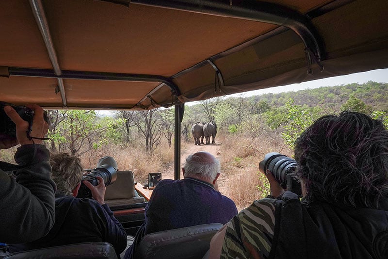 Fotoosafari Zuid-Afrika - Olifanten fotograferen - Foto van deelnemer Jolande