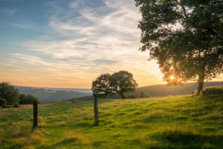 Erik Brons fotografie
