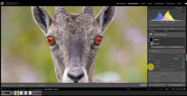 Een wildlife foto bewerken met Lightroom Classic video tutorial