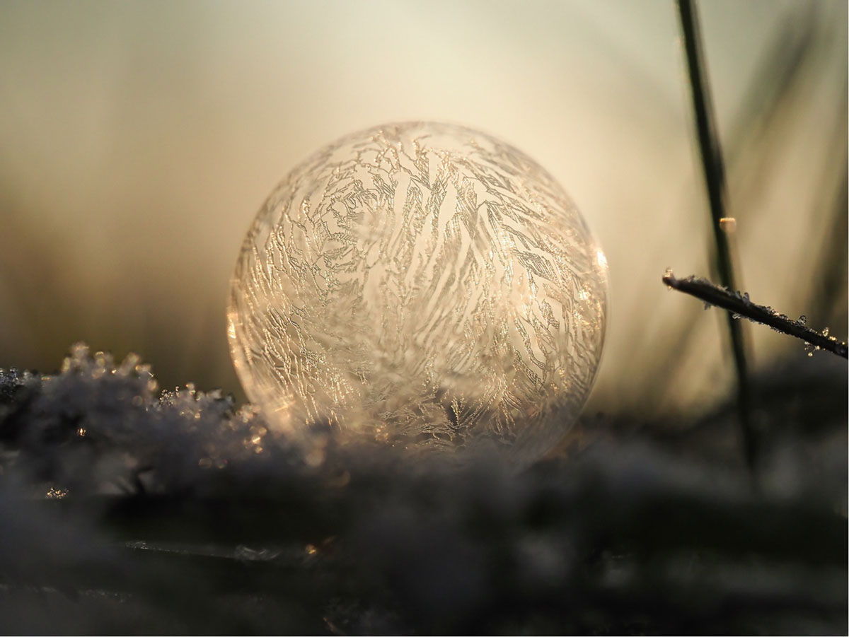 bevroren bellen fotograferen macro