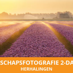 Landschapsfotografie 2-daagse