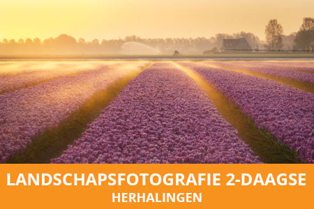 Landschapsfotografie 2-daagse