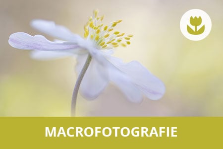 Workshop macrofotografie