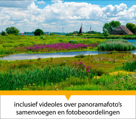 Workshop natuurfotografie op Tiengemeten