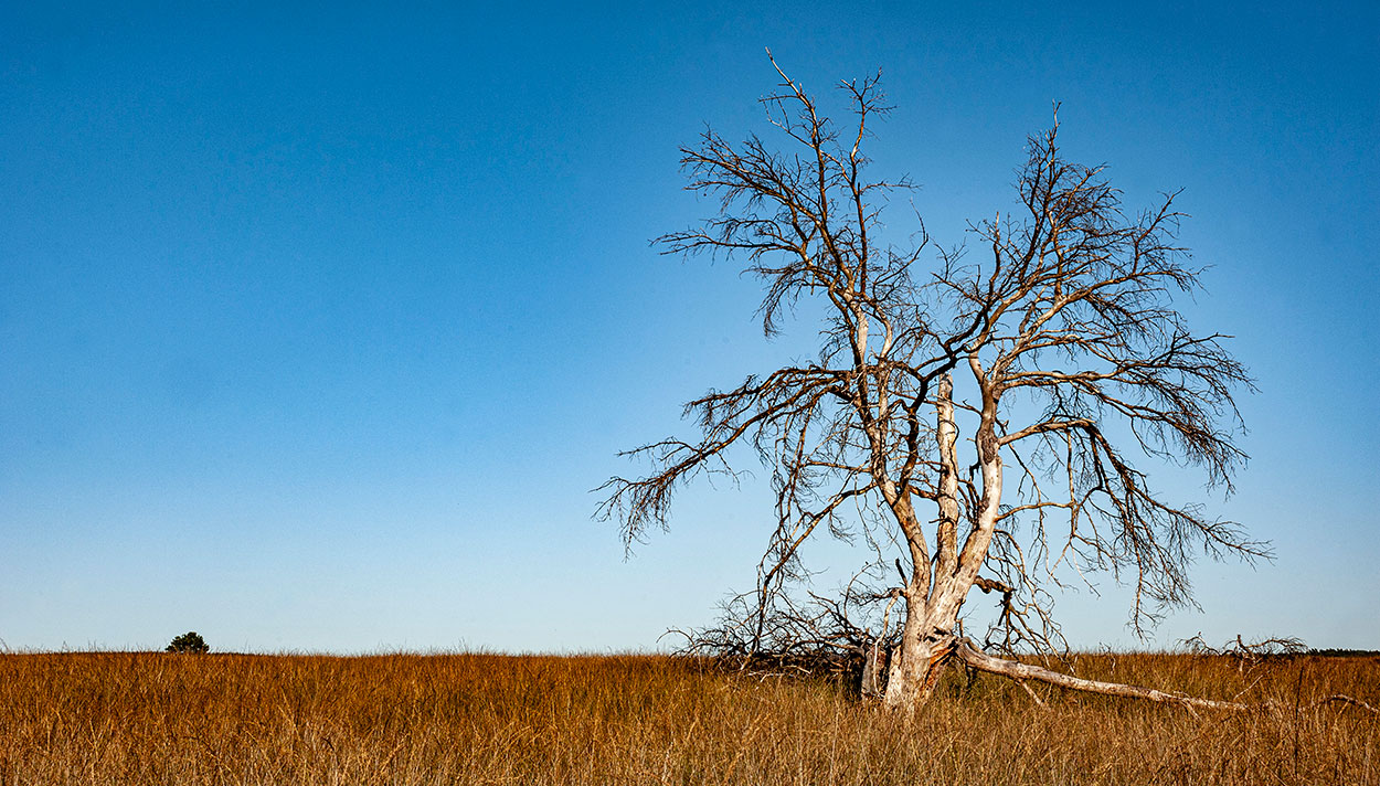 Workshop natuurfotografie - Landschapsfotografie