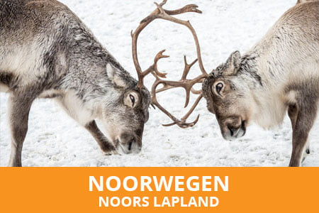 Fotografiereis naar Noors Lapland