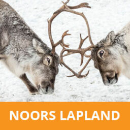 Fotoreis Noors Lapland - Tromso in Noorwegen