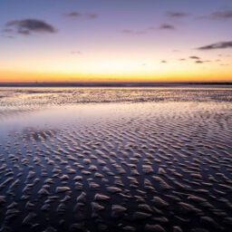 Fotoweekend landschapsfotografie - Ameland (Waddeneilanden)