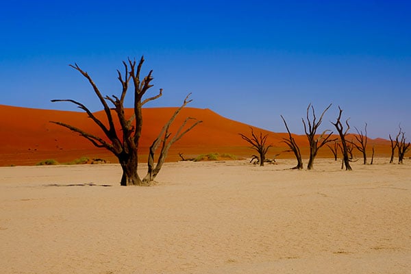 Fotoreis Namibië - Woestijnlandschappen fotograferen in de Sossusvlei