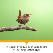 Vogelfotografie workshop - Syllabus en fotobeoordelingen
