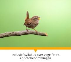 Vogelfotografie workshop - Syllabus en fotobeoordelingen