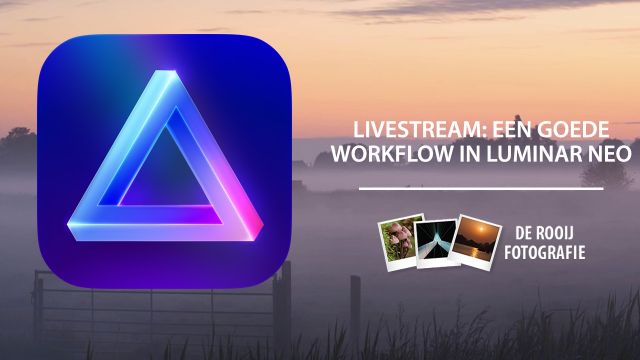 livestream-goede-workshop-luminar-neo
