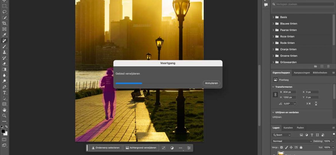 ongewenste-onderwerpen-verwijderen-met-photoshop-verwijder-tool