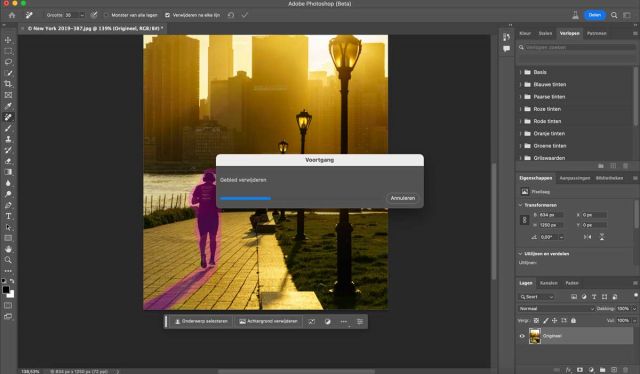 ongewenste-onderwerpen-verwijderen-met-photoshop-verwijder-tool