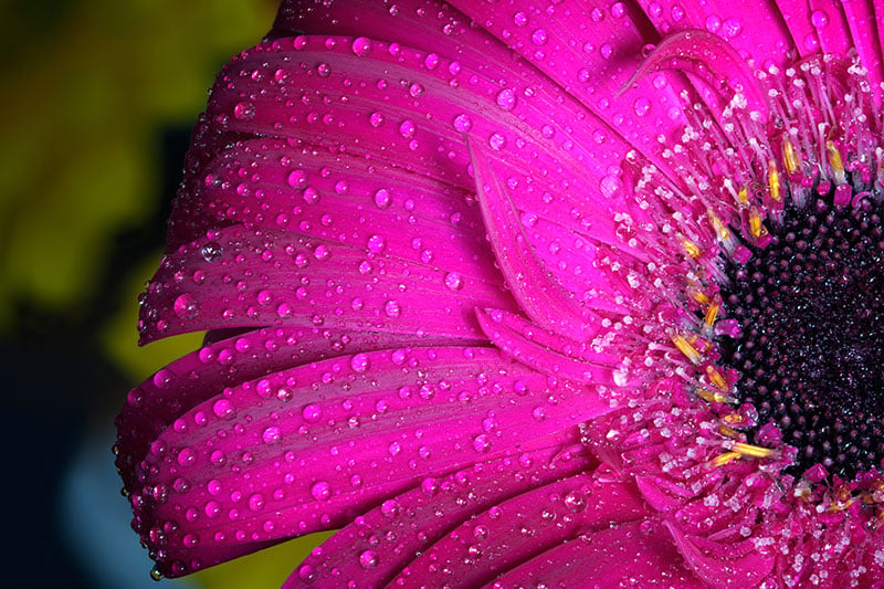 Beste fotografie opleiding voor vakfotograaf