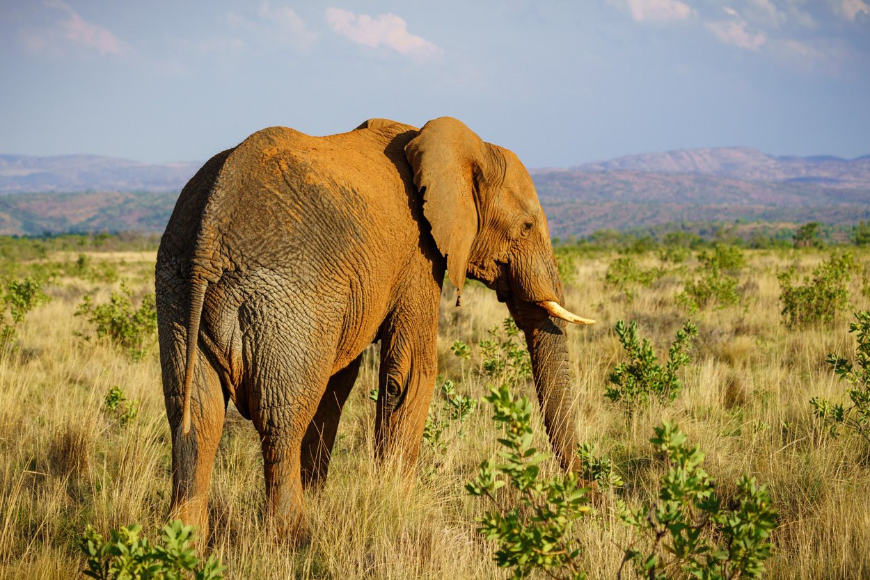 Zuid Afrika fotografie tips