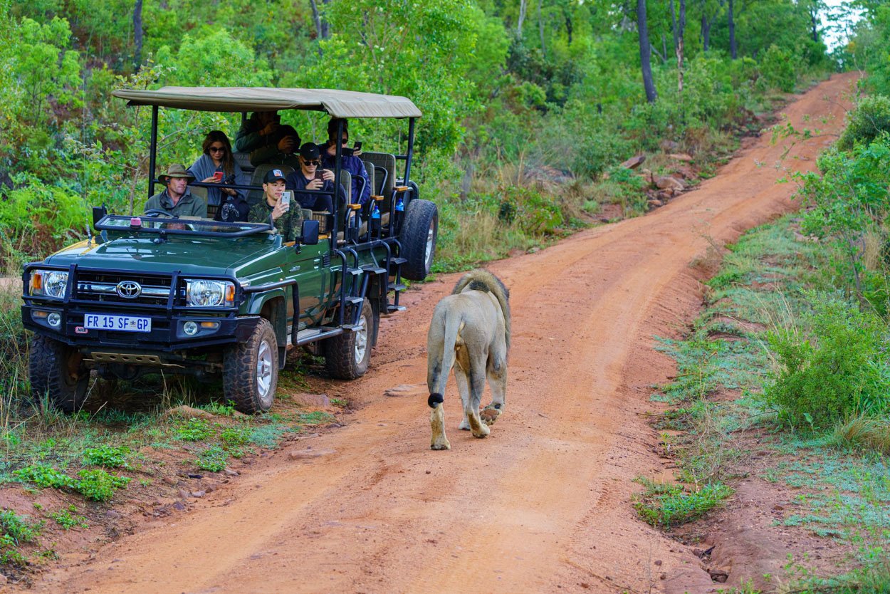 fotoreis zuid afrika safari tips