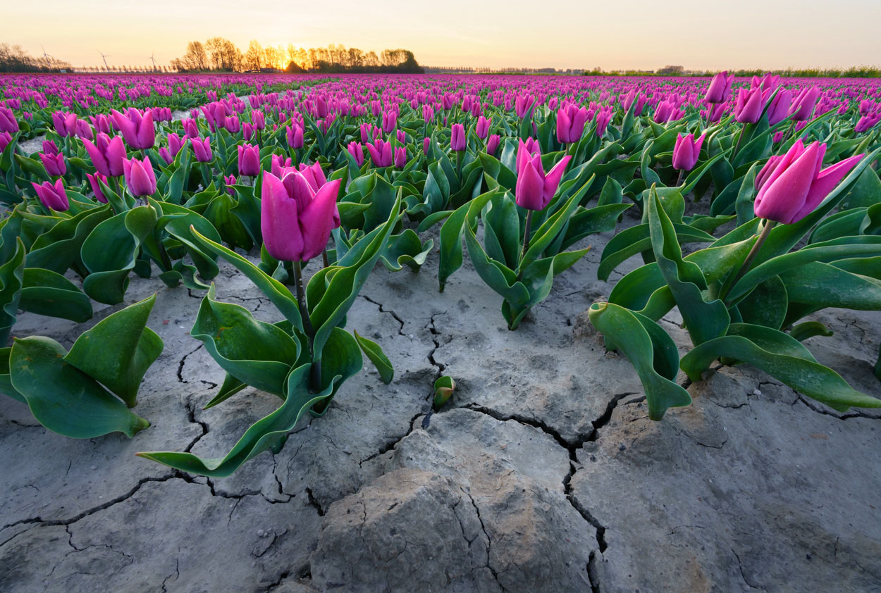 standpunt horizon uitleg