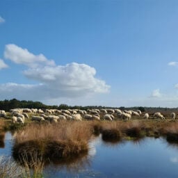 Fotoweekend Veluwe